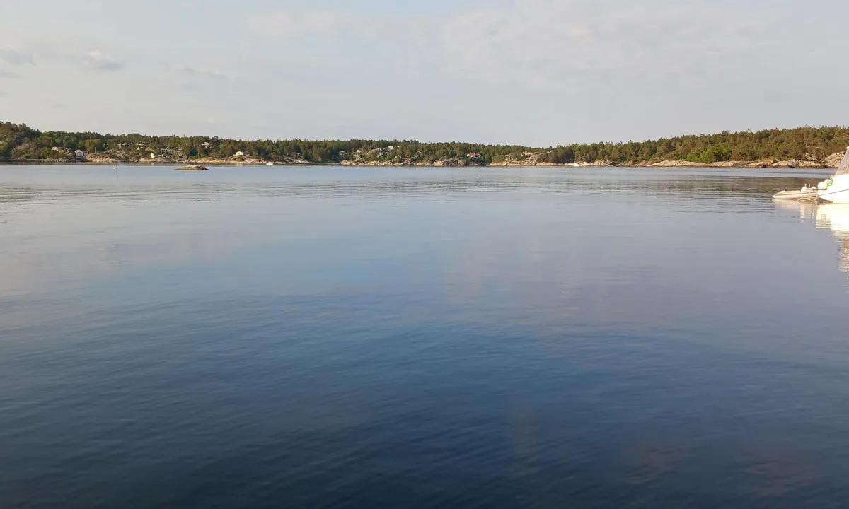 Kråka