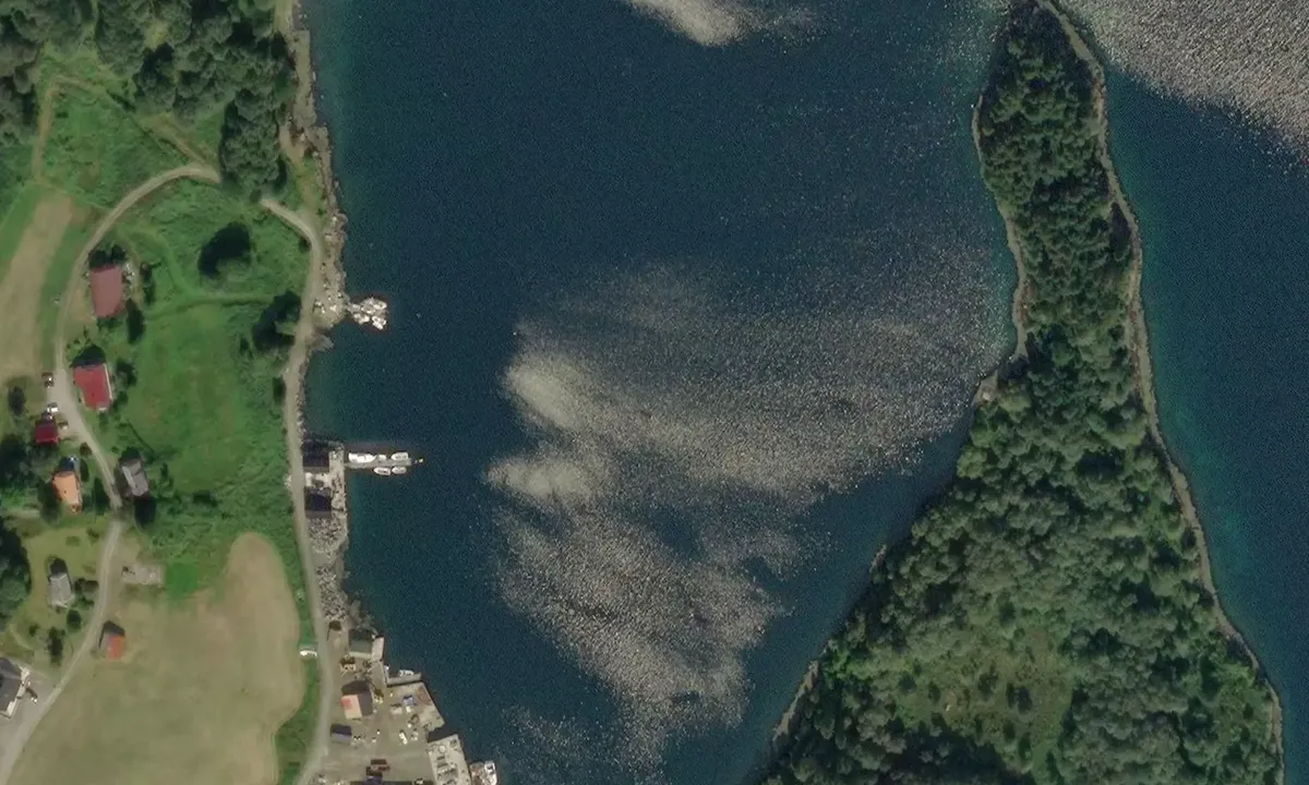 Satelite image of Kråkenesvågen