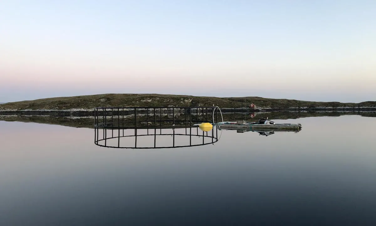 Kråkøybukta: Også inne i bukta er det tydelig at det drives oppdrett. Festet i en solid bøye er en flytebrygge og en merd. Antakelig godt hold i bøya.