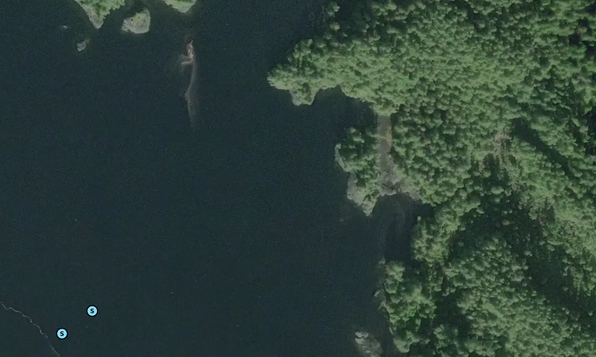 Satelite image of Kumealon Inlet - East Shore