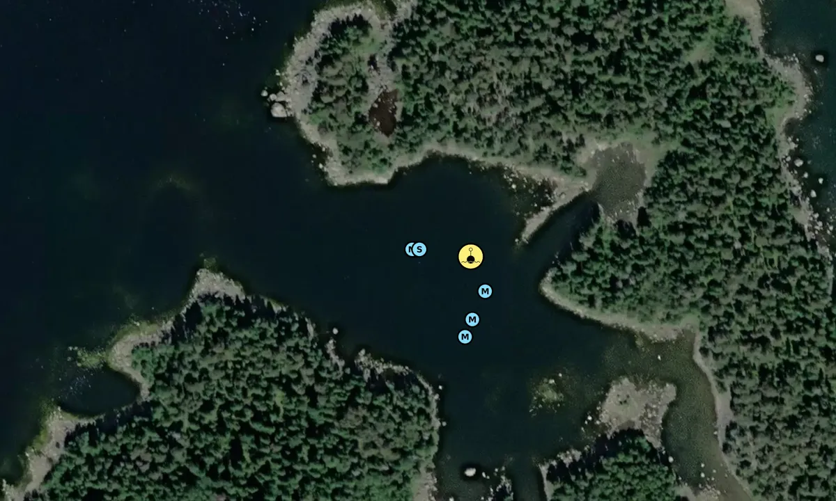 Satelite image of Kusö kalv - SXK Eggegrund bouy