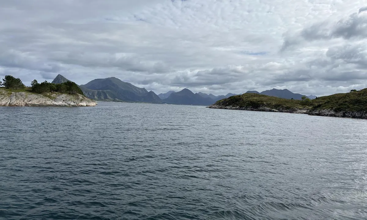 Kvaløya - Gåsvær