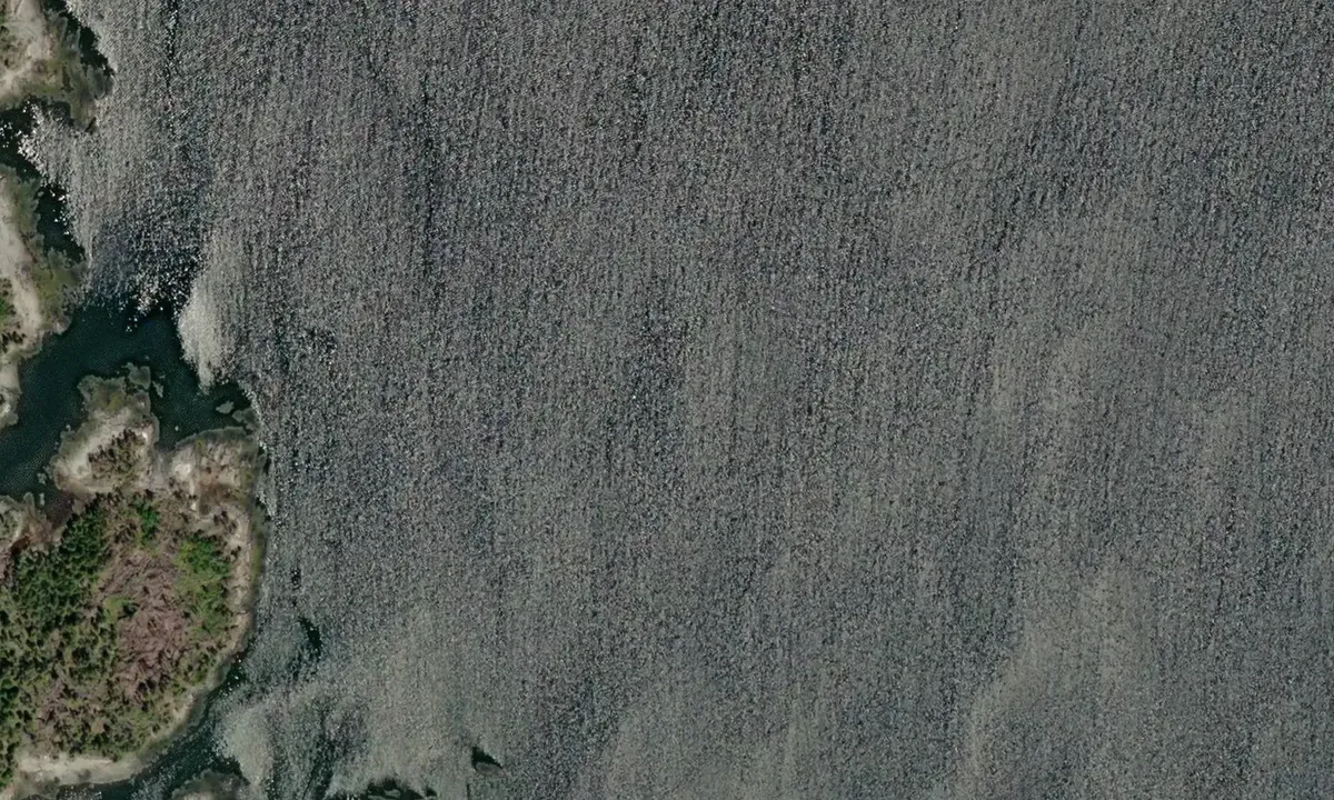 Satelite image of La Have River