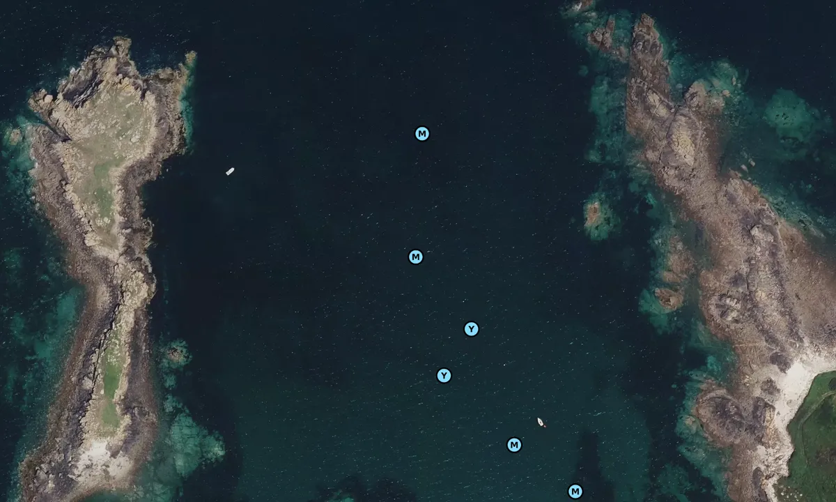 Satelite image of La Nellière