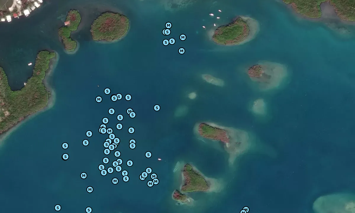 Satelite image of La Paraguera