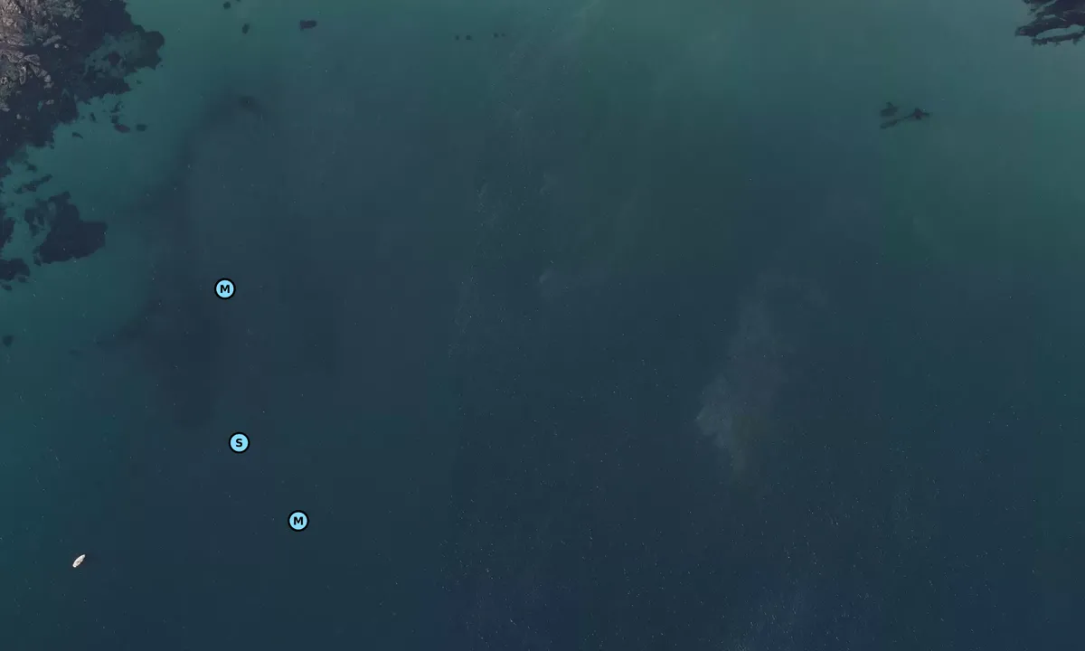 Satelite image of La Source