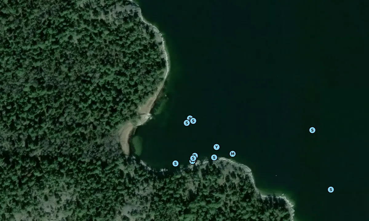 Satelite image of Ladviken