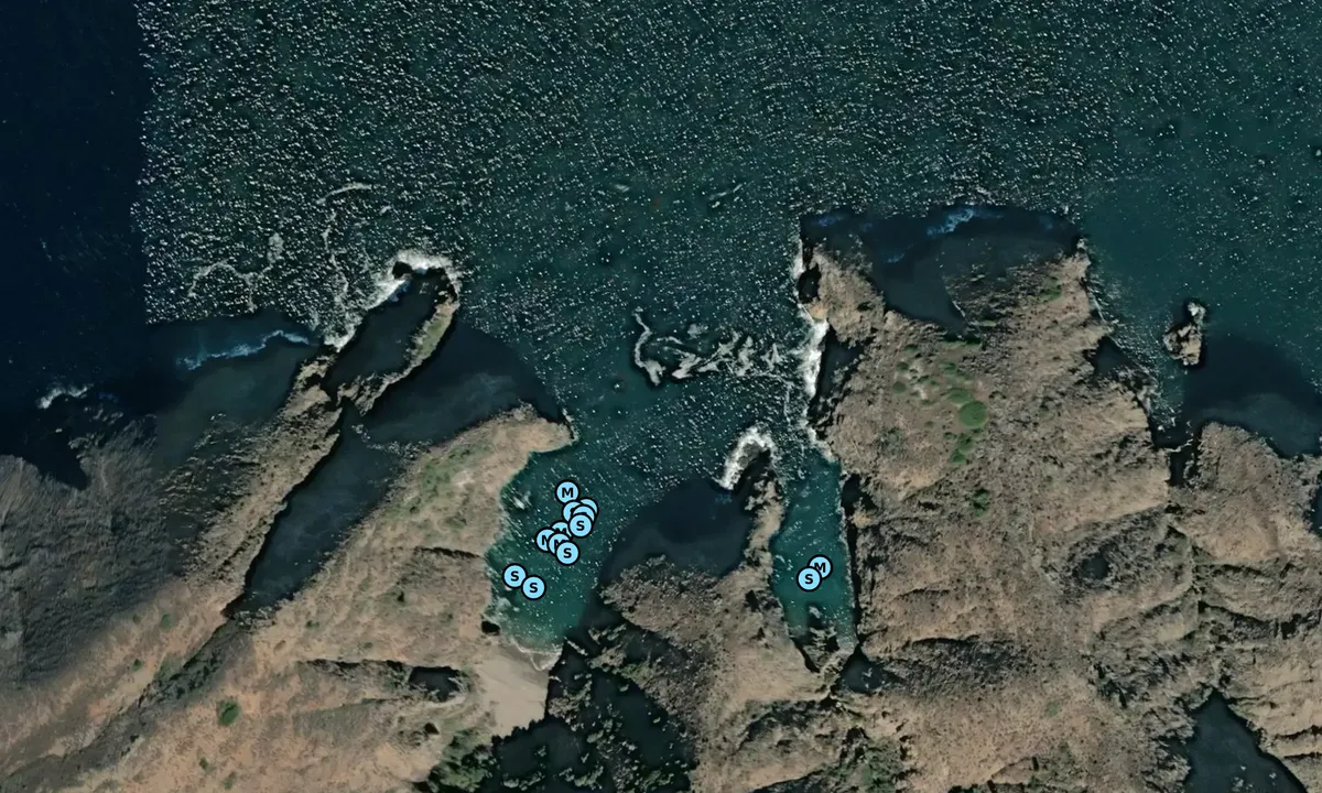 Satelite image of Ladys Harbor