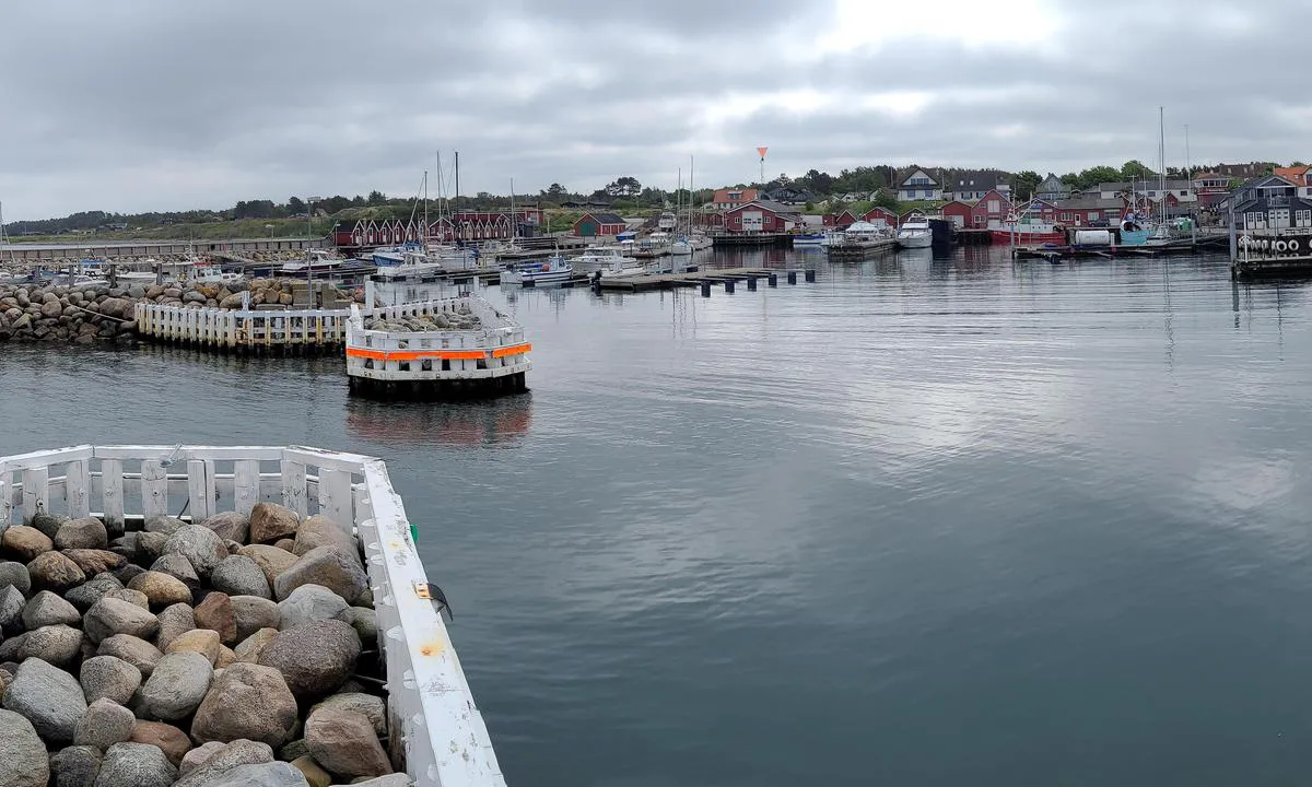 Læsø - Vesterø Havn: Blick auf Einfahrt und Vorhafen.