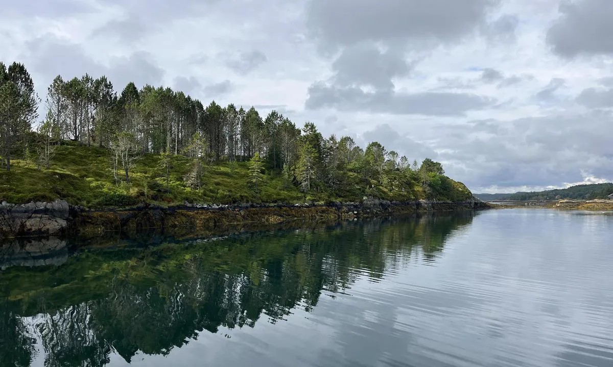Laksåvikbukta: Sydover