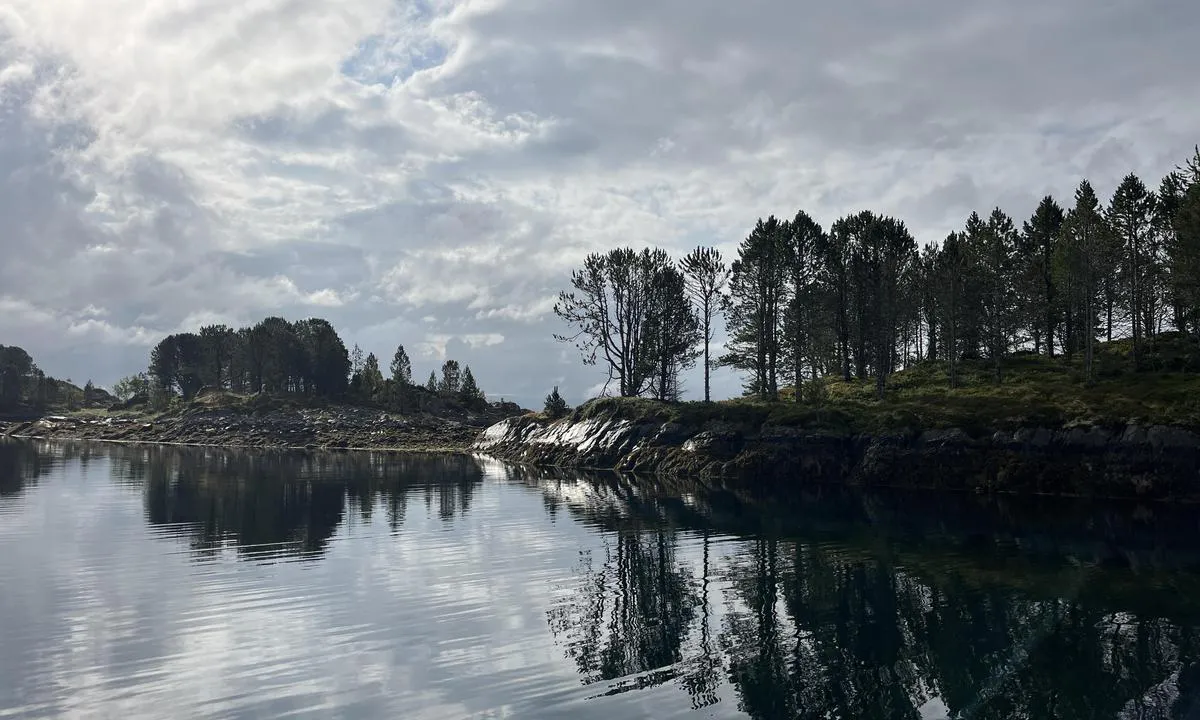 Laksåvikbukta: Vestover