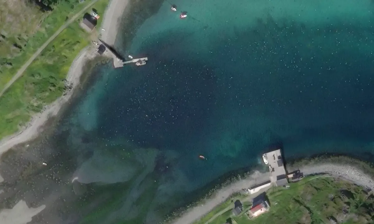 Satelite image of Langfjordnes
