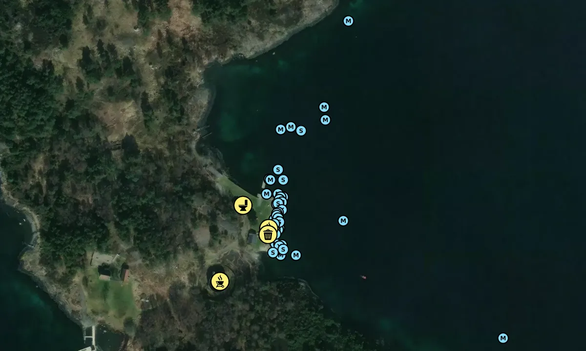 Satelite image of Langøy Friområde