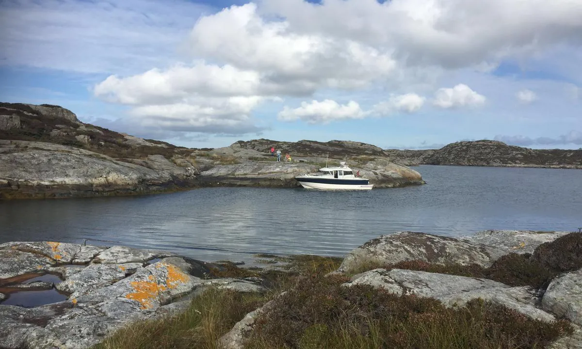 Langøyna: Svaberg, sett mot nordvest.