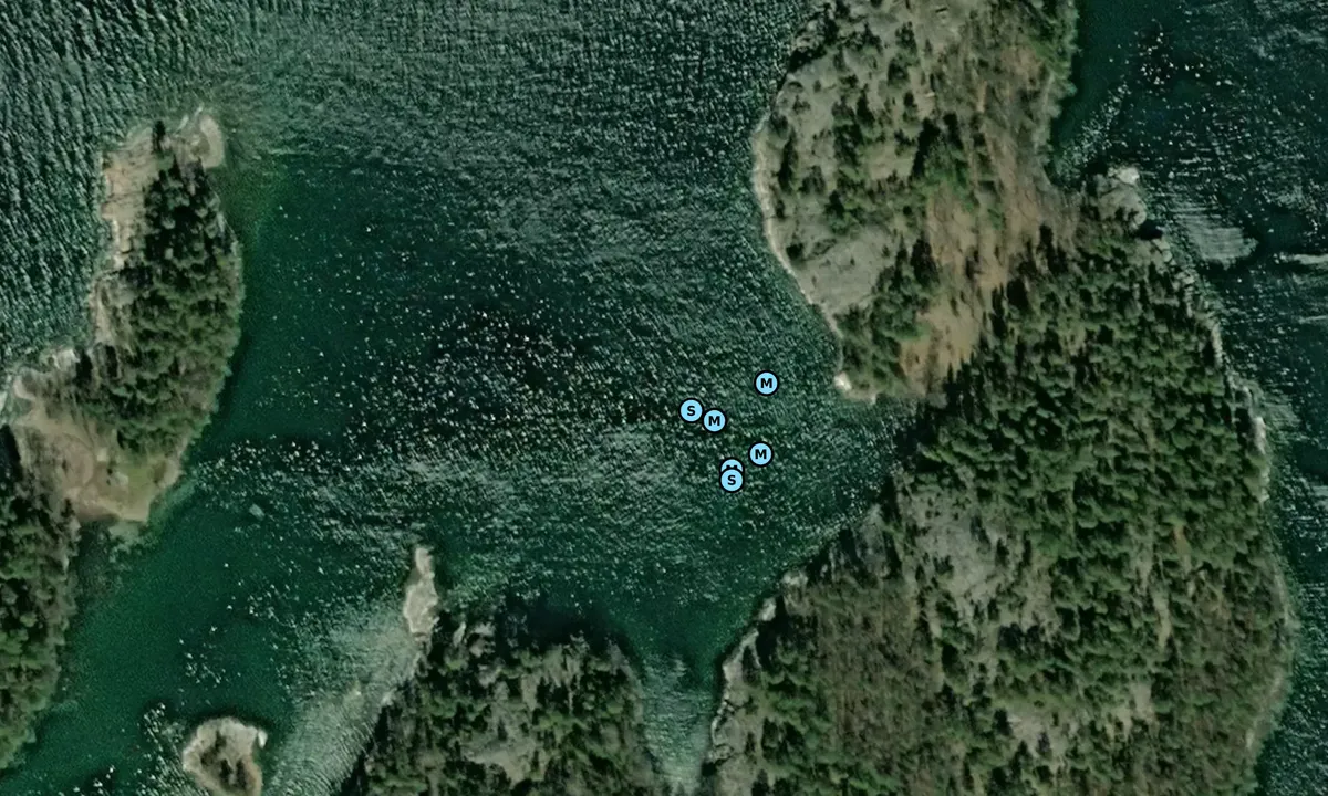 Satelite image of Långvik