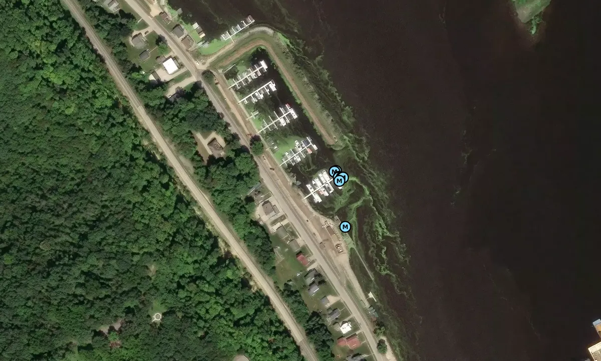 Satelite image of Lansing Marina
