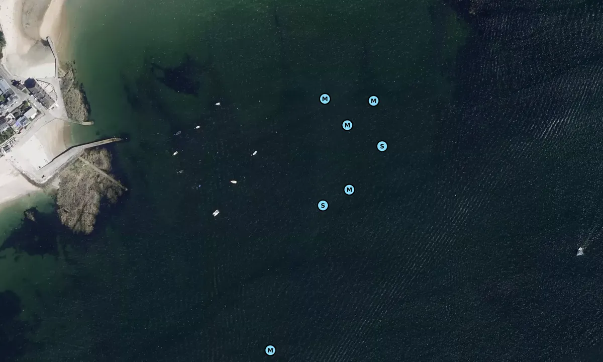 Satelite image of Larmor-Plage