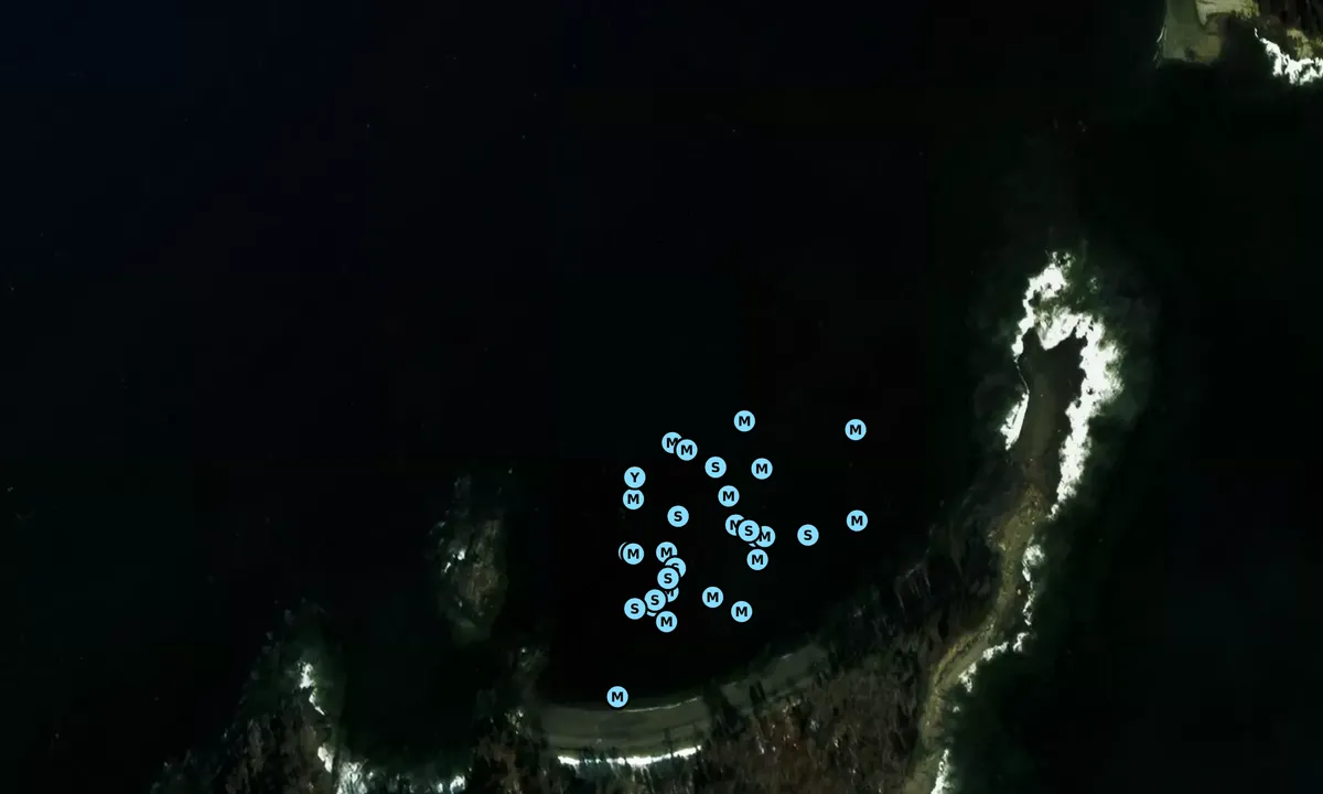 Satelite image of Lasell Island