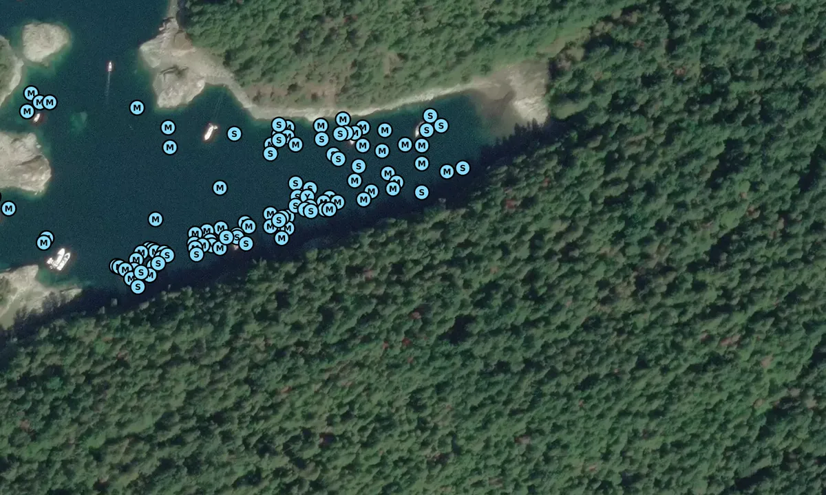 Satelite image of Laura Cove - Foch