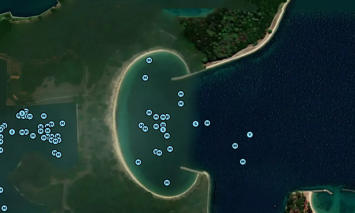 Satelite image of Lazarus Beach