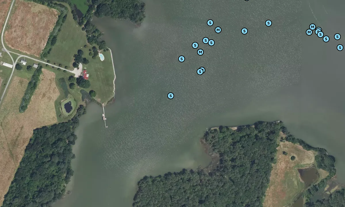 Satelite image of Leadenham Creek (south)