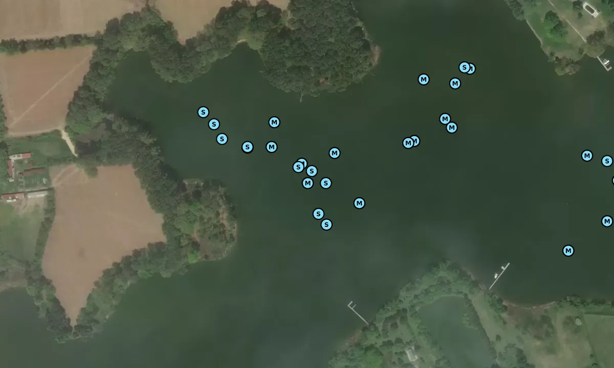 Satelite image of Leeds Creek - 2