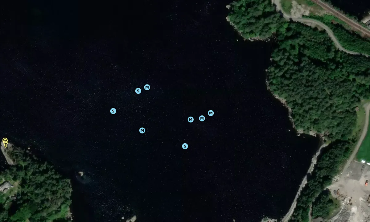 Satelite image of Leidlangbukta