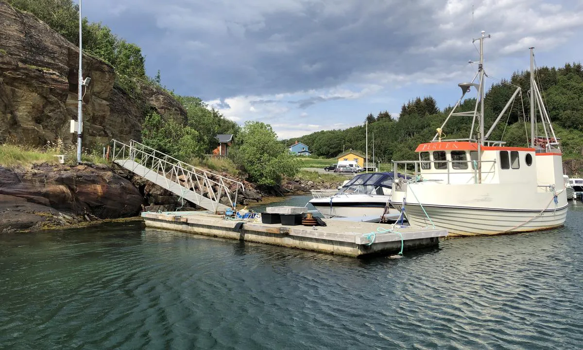 Leinesodden Marina: I 2021 var det flere ledige plasser i havna, og du må kontakte havnesjefen for å finne ut hvor du kan fortøye