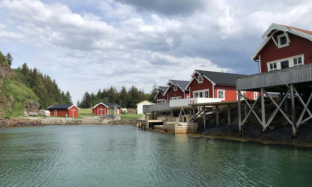 Det ligger sjøhus innerst i havna til Leinesodden Marina.