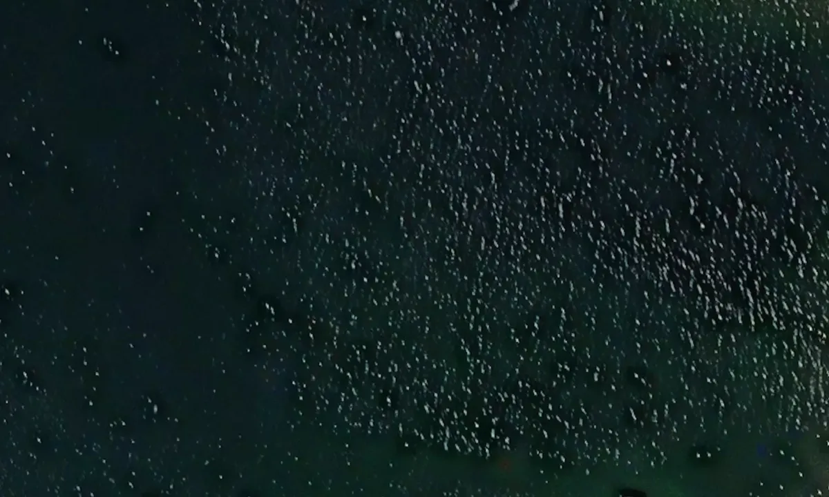 Satelite image of Leirbotn