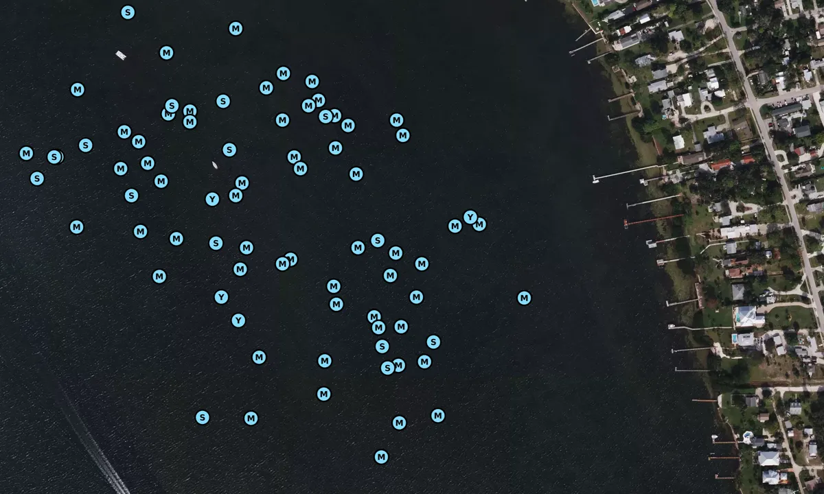 Satelite image of Lemon Bay