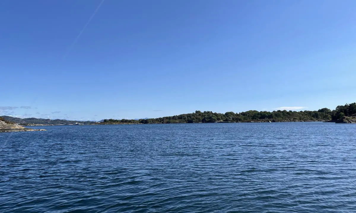 Lerøy : {"base": "en", "no": "Utsikt (s\u00f8r)", "se": "Utsikt ut (s\u00f6der)", "en": "View out (south)", "da": "Udsigt ud (syd)", "fr": "Vue vers l'ext\u00e9rieur (sud)", "de": "Blick nach S\u00fcden", "es": "Vista hacia afuera (sur)", "it": "Vista verso sud", "pt": "Vista para fora (sul)", "nl": "Uitzicht (zuid)", "pl": "Widok na zewn\u0105trz (po\u0142udnie)", "uk": "\u0412\u0438\u0434 \u043d\u0430 \u043f\u0456\u0432\u0434\u0435\u043d\u044c", "ro": "Vedere spre exterior (sud)", "tr": "G\u00f6r\u00fcn\u00fcm (g\u00fcney)", "el": "\u0398\u03ad\u03b1 \u03c0\u03c1\u03bf\u03c2 \u03c4\u03b1 \u03ad\u03be\u03c9 (\u03bd\u03cc\u03c4\u03b9\u03b1)", "cs": "V\u00fdhled (jih)", "hu": "Kil\u00e1t\u00e1s (d\u00e9l fel\u00e9)", "fi": "N\u00e4kym\u00e4 ulos (etel\u00e4)", "bg": "\u0418\u0437\u0433\u043b\u0435\u0434 \u043d\u0430\u0432\u044a\u043d (\u044e\u0433)", "sr": "\u041f\u043e\u0433\u043b\u0435\u0434 \u043d\u0430\u043f\u043e\u0459\u0435 (\u0458\u0443\u0433)", "et": "Vaade v\u00e4lja (l\u00f5una)", "lv": "Skats uz dienvidiem", "lt": "Vaizdas \u012f pietus"}