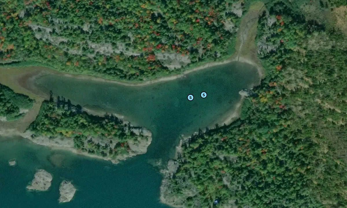 Satelite image of Leroy Cove