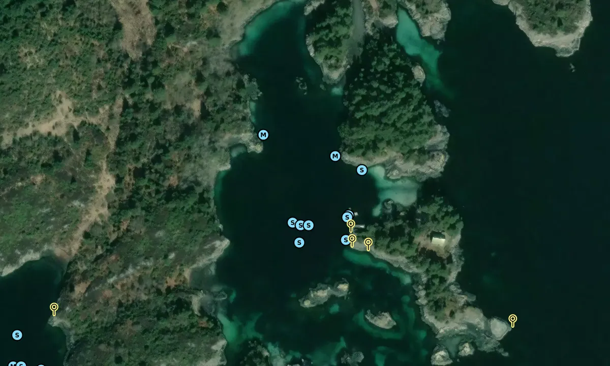 Satelite image of Lerøy - Hordaland