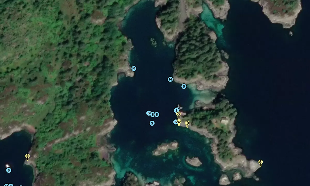 Satelite image of Lerøy - Hordaland