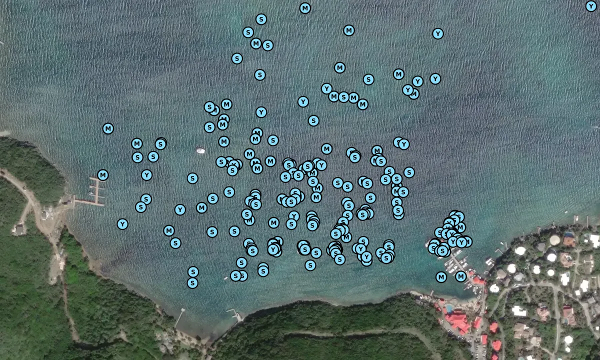 Satelite image of Leverick Bay - Spanish Town