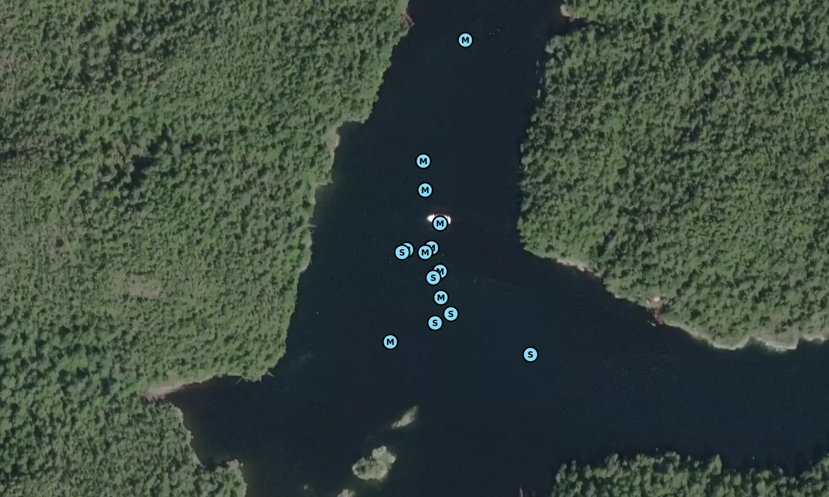 Satelite image of Lewall Inlet