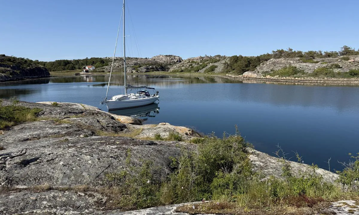 Lilla Havstensholmen: {"base": "no", "no": "Gode dybder helt inn til fjellet.  Et stykke nord for b\u00e5ten i bildet (styrbord side ab b\u00e5ten) s\u00e5 grunner det litt opp og her b\u00f8r seilb\u00e5ter v\u00e6re litt forsiktig. Men hele veien p\u00e5 babord side av b\u00e5ten er det plenty med plasser med god dybde", "se": "Goda djup \u00e4nda in till berget. Ett stycke norr om b\u00e5ten p\u00e5 bilden (styrbord sida om b\u00e5ten) grundar det lite och h\u00e4r b\u00f6r segelb\u00e5tar vara lite f\u00f6rsiktiga. Men hela v\u00e4gen p\u00e5 babord sida om b\u00e5ten finns det gott om platser med bra djup.", "en": "Good depths all the way in to the cliff. A bit north of the boat in the picture (starboard side of the boat), it shallows up a bit and sailboats should be a little cautious here. But all the way along the port side of the boat, there are plenty of spots with good depth.", "da": "Gode dybder helt ind til fjeldet. Et stykke nord for b\u00e5den p\u00e5 billedet (styrbord side af b\u00e5den) s\u00e5 grundes det lidt op, og her b\u00f8r sejlb\u00e5de v\u00e6re lidt forsigtige. Men hele vejen p\u00e5 bagbord side af b\u00e5den er der masser af pladser med god dybde.", "fr": "Des bonnes profondeurs jusqu'\u00e0 la montagne. Un peu au nord du bateau sur la photo (c\u00f4t\u00e9 tribord du bateau), il y a un peu de fond et les voiliers doivent \u00eatre prudents ici. Mais tout le long du c\u00f4t\u00e9 b\u00e2bord du bateau, il y a beaucoup de places avec une bonne profondeur.", "de": "Gute Tiefen bis ganz an den Felsen. Ein St\u00fcck n\u00f6rdlich vom Boot im Bild (Steuerbordseite des Boots) wird es etwas flacher und hier sollten Segelboote etwas vorsichtig sein. Aber den ganzen Weg auf der Backbordseite des Boots gibt es viele Pl\u00e4tze mit guter Tiefe.", "es": "Buenas profundidades hasta la roca. Un poco al norte del barco en la imagen (lado de estribor del barco) hay un peque\u00f1o banco de arena y aqu\u00ed los veleros deben tener un poco de cuidado. Pero en todo el camino por el lado de babor del barco hay muchos lugares con buena profundidad.", "it": "Buone profondit\u00e0 fino alla roccia. Un po' a nord della barca nell'immagine (lato di dritta della barca) il fondale si alza leggermente e qui le barche a vela devono fare un po' di attenzione. Ma per tutta la lunghezza del lato di sinistra della barca ci sono molti posti con buona profondit\u00e0.", "pt": "Boas profundidades at\u00e9 a montanha. Um pouco ao norte do barco na imagem (lado de estibordo do barco) h\u00e1 um pouco de eleva\u00e7\u00e3o no fundo e aqui os veleiros devem ter um pouco de cuidado. Mas ao longo de todo o lado de bombordo do barco h\u00e1 muitos lugares com boa profundidade.", "nl": "Goede dieptes helemaal tot aan de rotsen. Een stuk ten noorden van de boot op de foto (stuurboord zijde van de boot) wordt het wat ondieper, hier moeten zeilboten voorzichtig zijn. Maar langs de hele weg aan bakboordzijde van de boot zijn er volop plaatsen met goede diepte.", "pl": "Dobre g\u0142\u0119boko\u015bci a\u017c do samego brzegu. Troch\u0119 na p\u00f3\u0142noc od \u0142odzi na zdj\u0119ciu (po prawej stronie \u0142odzi) dno si\u0119 nieco unosi i \u017cagl\u00f3wki powinny tu by\u0107 troch\u0119 ostro\u017cne. Jednak\u017ce na ca\u0142ej lewej stronie \u0142odzi jest du\u017co miejsca z odpowiedni\u0105 g\u0142\u0119boko\u015bci\u0105.", "uk": "\u0413\u0430\u0440\u043d\u0430 \u0433\u043b\u0438\u0431\u0438\u043d\u0430 \u0430\u0436 \u0434\u043e \u0441\u043a\u0435\u043b\u0456. \u0429\u043e\u0441\u044c \u043d\u0430 \u043f\u0456\u0432\u043d\u0456\u0447 \u0432\u0456\u0434 \u0447\u043e\u0432\u043d\u0430 \u043d\u0430 \u0437\u043e\u0431\u0440\u0430\u0436\u0435\u043d\u043d\u0456 (\u043f\u0440\u0430\u0432\u0438\u0439 \u0431\u043e\u0440\u0442 \u0432\u0456\u0434 \u0447\u043e\u0432\u043d\u0430) \u0442\u0440\u043e\u0445\u0438 \u043c\u0456\u043b\u043a\u043e\u0432\u043e\u0434\u0434\u044f, \u0456 \u0442\u0443\u0442 \u0432\u0456\u0442\u0440\u0438\u043b\u044c\u043d\u0438\u043c \u0447\u043e\u0432\u043d\u0430\u043c \u0441\u043b\u0456\u0434 \u0431\u0443\u0442\u0438 \u043e\u0431\u0435\u0440\u0435\u0436\u043d\u0438\u043c\u0438. \u0410\u043b\u0435 \u0432\u0435\u0441\u044c \u0448\u043b\u044f\u0445 \u043f\u043e \u043b\u0456\u0432\u043e\u043c\u0443 \u0431\u043e\u0440\u0442\u0443 \u0432\u0456\u0434 \u0447\u043e\u0432\u043d\u0430 \u0454 \u0431\u0430\u0433\u0430\u0442\u043e \u043c\u0456\u0441\u0446\u044c \u0437 \u0433\u0430\u0440\u043d\u043e\u044e \u0433\u043b\u0438\u0431\u0438\u043d\u043e\u044e.", "ro": "Ad\u00e2ncimi bune p\u00e2n\u0103 la munte. Pu\u021bin la nord de barca din imagine (tribord fa\u021b\u0103 de barc\u0103), ad\u00e2ncimea scade pu\u021bin \u0219i aici iahturile ar trebui s\u0103 fie pu\u021bin atente. Dar pe \u00eentreaga parte babord a b\u0103rcii exist\u0103 multe locuri cu ad\u00e2ncime bun\u0103", "tr": "Da\u011flara kadar iyi derinlikler. Resimdeki teknenin biraz kuzeyinde (teknenin sancak taraf\u0131) s\u0131\u011fla\u015fma vard\u0131r ve yelkenliler biraz dikkatli olmal\u0131d\u0131r. Ancak, teknenin iskele taraf\u0131nda boyunca iyi derinliklerle bol miktarda yer vard\u0131r.", "el": "\u039a\u03b1\u03bb\u03ad\u03c2 \u03b2\u03b1\u03b8\u03bc\u03bf\u03bb\u03bf\u03b3\u03af\u03b5\u03c2 \u03bc\u03ad\u03c7\u03c1\u03b9 \u03c4\u03bf \u03b2\u03bf\u03c5\u03bd\u03cc. \u039b\u03af\u03b3\u03bf \u03b2\u03cc\u03c1\u03b5\u03b9\u03b1 \u03c4\u03bf\u03c5 \u03c3\u03ba\u03ac\u03c6\u03bf\u03c5\u03c2 \u03c3\u03c4\u03b7\u03bd \u03b5\u03b9\u03ba\u03cc\u03bd\u03b1 (\u03c0\u03bb\u03b5\u03c5\u03c1\u03ac \u03b4\u03b5\u03be\u03b9\u03ac \u03b1\u03c0\u03cc \u03c4\u03bf \u03c3\u03ba\u03ac\u03c6\u03bf\u03c2) \u03c4\u03b1 \u03b2\u03ac\u03b8\u03b7 \u03bc\u03b5\u03b9\u03ce\u03bd\u03bf\u03bd\u03c4\u03b1\u03b9 \u03bb\u03af\u03b3\u03bf \u03ba\u03b1\u03b9 \u03b5\u03b4\u03ce \u03b8\u03b1 \u03c0\u03c1\u03ad\u03c0\u03b5\u03b9 \u03c4\u03b1 \u03b9\u03c3\u03c4\u03b9\u03bf\u03c6\u03cc\u03c1\u03b1 \u03bd\u03b1 \u03b5\u03af\u03bd\u03b1\u03b9 \u03bb\u03af\u03b3\u03bf \u03c0\u03c1\u03bf\u03c3\u03b5\u03ba\u03c4\u03b9\u03ba\u03ac. \u0391\u03bb\u03bb\u03ac \u03c3\u03b5 \u03cc\u03bb\u03bf \u03c4\u03bf \u03bc\u03ae\u03ba\u03bf\u03c2 \u03c4\u03b7\u03c2 \u03b1\u03c1\u03b9\u03c3\u03c4\u03b5\u03c1\u03ae\u03c2 \u03c0\u03bb\u03b5\u03c5\u03c1\u03ac\u03c2 \u03c4\u03bf\u03c5 \u03c3\u03ba\u03ac\u03c6\u03bf\u03c5\u03c2 \u03c5\u03c0\u03ac\u03c1\u03c7\u03bf\u03c5\u03bd \u03c0\u03bf\u03bb\u03bb\u03ad\u03c2 \u03b8\u03ad\u03c3\u03b5\u03b9\u03c2 \u03bc\u03b5 \u03ba\u03b1\u03bb\u03cc \u03b2\u03ac\u03b8\u03bf\u03c2.", "cs": "Dobr\u00e9 hloubky a\u017e k \u00fatesu. Kousek severn\u011b od lodi na obr\u00e1zku (na pravoboku lodi) je oblast, kde by sehlod\u011b m\u011bly b\u00fdt opatrn\u00e9, proto\u017ee je tam m\u011bl\u010dina. Ale na levoboku lodi je po cel\u00e9 d\u00e9lce dostatek m\u00edst s dobrou hloubkou.", "hu": "J\u00f3 m\u00e9lys\u00e9gek eg\u00e9szen a szikl\u00e1ig. Egy kicsit \u00e9szakra a k\u00e9pen l\u00e1that\u00f3 haj\u00f3t\u00f3l (a haj\u00f3 jobb oldal\u00e1n) a sek\u00e9lyed\u00e9s kicsit feljebb h\u00faz\u00f3dik, ez\u00e9rt itt a vitorl\u00e1soknak \u00f3vatosnak kell lenni\u00fck. De a haj\u00f3 bal oldal\u00e1n v\u00e9gig b\u0151s\u00e9ges helyek vannak j\u00f3 m\u00e9lys\u00e9ggel.", "fi": "Hyv\u00e4t syvyydet aivan kallioon asti. V\u00e4h\u00e4n matkaa pohjoiseen kuvassa olevasta veneest\u00e4 (veneen oikealla puolella) pohja nousee hieman, ja t\u00e4\u00e4ll\u00e4 purjeveneiden tulisi olla varovaisia. Mutta koko veneen vasemmalla puolella on runsaasti paikkoja, joissa on hyv\u00e4 syvyys.", "bg": "\u0414\u043e\u0431\u0440\u0438 \u0434\u044a\u043b\u0431\u043e\u0447\u0438\u043d\u0438 \u0447\u0430\u043a \u0434\u043e \u0441\u043a\u0430\u043b\u0430\u0442\u0430. \u041d\u044f\u043a\u043e\u043b\u043a\u043e \u043d\u0430 \u0441\u0435\u0432\u0435\u0440 \u043e\u0442 \u043b\u043e\u0434\u043a\u0430\u0442\u0430 \u043d\u0430 \u0441\u043d\u0438\u043c\u043a\u0430\u0442\u0430 (\u0434\u044f\u0441\u043d\u0430 \u0441\u0442\u0440\u0430\u043d\u0430\u0442\u0430 \u043d\u0430 \u043b\u043e\u0434\u043a\u0430\u0442\u0430) \u0438\u043c\u0430 \u043c\u0430\u043b\u043a\u043e \u043f\u043e\u0434\u0432\u043e\u0434\u043d\u0438 \u043f\u043b\u0438\u0442\u0447\u0438\u043d\u0438 \u0438 \u0442\u0443\u043a \u043f\u043b\u0430\u0442\u043d\u043e\u0445\u043e\u0434\u043a\u0438\u0442\u0435 \u0442\u0440\u044f\u0431\u0432\u0430 \u0434\u0430 \u0431\u044a\u0434\u0430\u0442 \u0432\u043d\u0438\u043c\u0430\u0442\u0435\u043b\u043d\u0438. \u041d\u043e \u043f\u0440\u0435\u0437 \u0446\u044f\u043b\u043e\u0442\u043e \u0432\u0440\u0435\u043c\u0435 \u043e\u0442 \u043b\u044f\u0432\u0430\u0442\u0430 \u0441\u0442\u0440\u0430\u043d\u0430 \u043d\u0430 \u043b\u043e\u0434\u043a\u0430\u0442\u0430 \u0438\u043c\u0430 \u043c\u043d\u043e\u0433\u043e \u043c\u0435\u0441\u0442\u0430 \u0441 \u0434\u043e\u0431\u0440\u0430 \u0434\u044a\u043b\u0431\u043e\u0447\u0438\u043d\u0430.", "sr": "\u0414\u043e\u0431\u0440\u0435 \u0434\u0443\u0431\u0438\u043d\u0435 \u0441\u0432\u0435 \u0434\u043e \u0441\u0442\u0435\u043d\u0435. \u041d\u0435\u043a\u043e\u043b\u0438\u043a\u043e \u043c\u0435\u0442\u0430\u0440\u0430 \u0441\u0435\u0432\u0435\u0440\u043d\u043e \u043e\u0434 \u0447\u0430\u043c\u0446\u0430 \u043d\u0430 \u0441\u043b\u0438\u0446\u0438 (\u0434\u0435\u0441\u043d\u0430 \u0441\u0442\u0440\u0430\u043d\u0430 \u043e\u0434 \u0447\u0430\u043c\u0446\u0430), \u0434\u043d\u043e \u0458\u0435 \u043d\u0435\u0448\u0442\u043e \u043f\u043b\u0438\u045b\u0435 \u0438 \u043e\u0432\u0434\u0435 \u0431\u0438 \u0458\u0435\u0434\u0440\u0438\u043b\u0438\u0446\u0435 \u0442\u0440\u0435\u0431\u0430\u043b\u043e \u0434\u0430 \u0431\u0443\u0434\u0443 \u043c\u0430\u043b\u043e \u043f\u0430\u0436\u0459\u0438\u0432\u0438\u0458\u0435. \u0410\u043b\u0438, \u0441\u0432\u0435 \u0434\u043e \u043b\u0435\u0432\u0435 \u0441\u0442\u0440\u0430\u043d\u0435 \u0447\u0430\u043c\u0446\u0430 \u0438\u043c\u0430 \u0434\u043e\u0441\u0442\u0430 \u043c\u0435\u0441\u0442\u0430 \u0441\u0430 \u0434\u043e\u0431\u0440\u043e\u043c \u0434\u0443\u0431\u0438\u043d\u043e\u043c.", "et": "S\u00fcgavus on hea kuni kaljuni v\u00e4lja. Paadist pildil natuke p\u00f5hja pool (paadi paremal pardal) l\u00e4heb natuke madalaks ja siin peaksid purjelaevad veidi ettevaatlikud olema. Kuid kogu paadi vasakul pardal on palju kohti hea s\u00fcgavusega.", "lv": "Laba dzi\u013cuma l\u012bme\u0146i l\u012bdz pa\u0161am klintim. Nedaudz uz zieme\u013ciem no att\u0113l\u0101 redzam\u0101s laivas (labaj\u0101 borta pus\u0113 no laivas) dzi\u013cums samazin\u0101s, un \u0161eit burulaivas vajadz\u0113tu b\u016bt uzman\u012bg\u0101m. Bet vis\u0101 ce\u013c\u0101 no laivas kreis\u0101s borta puses ir daudz vietu ar labu dzi\u013cumu.", "lt": "Geri gyliai iki pat uolos. \u0160iek tiek \u012f \u0161iaur\u0119 nuo laivo paveiksl\u0117lyje (de\u0161in\u0117je pus\u0117je nuo laivo) dugnas \u0161iek tiek kyla \u012f vir\u0161\u0173, tod\u0117l burlaiviai tur\u0117t\u0173 b\u016bti atsarg\u016bs. Ta\u010diau visame kairiajame laivo \u0161one yra daug viet\u0173 su geru gyliu."}