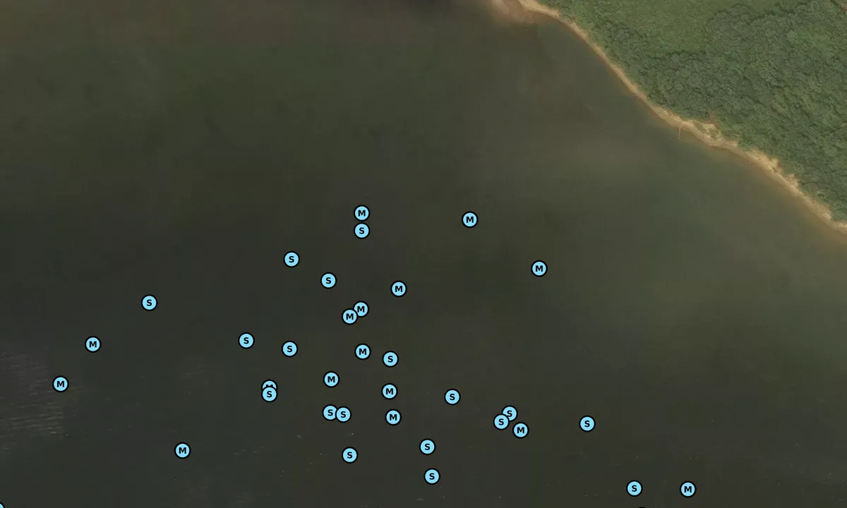 Satelite image of Lily Pad North