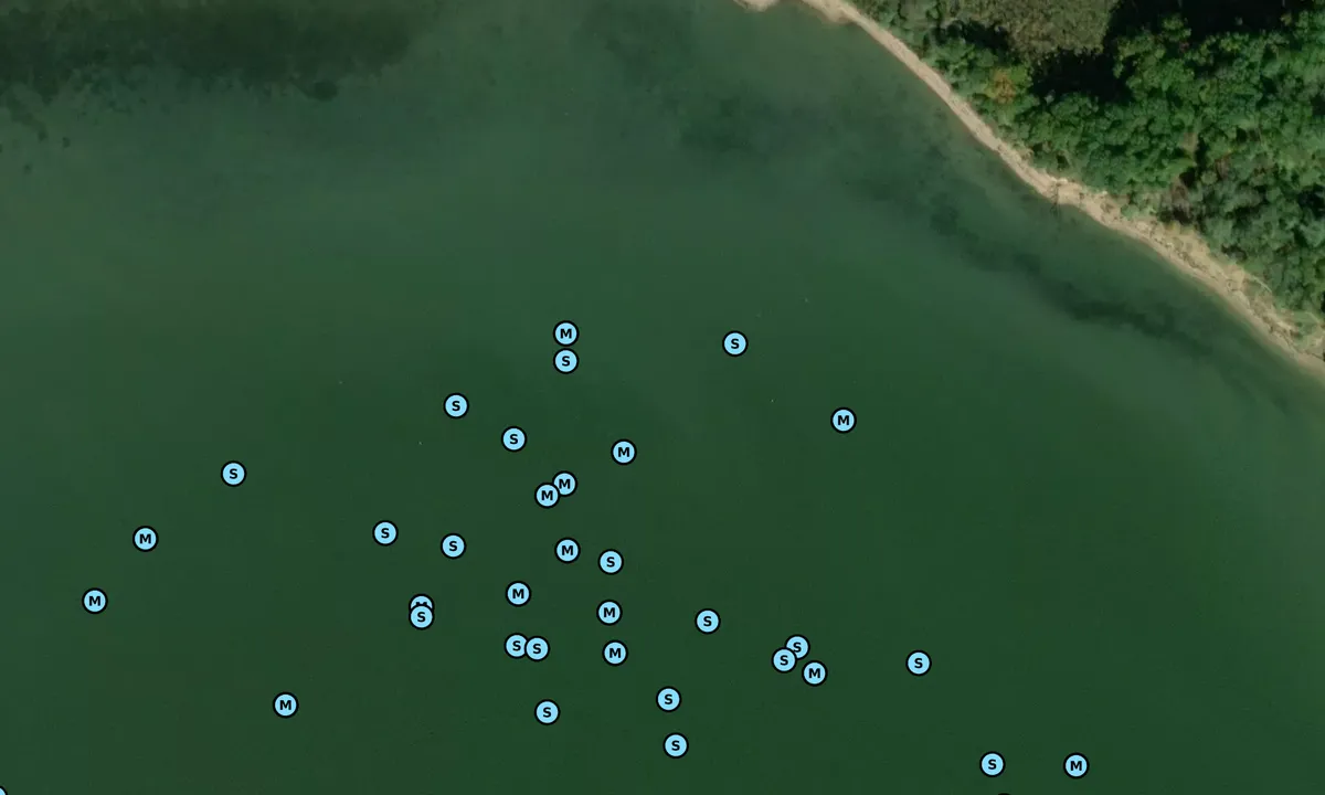 Satelite image of Lily Pad North