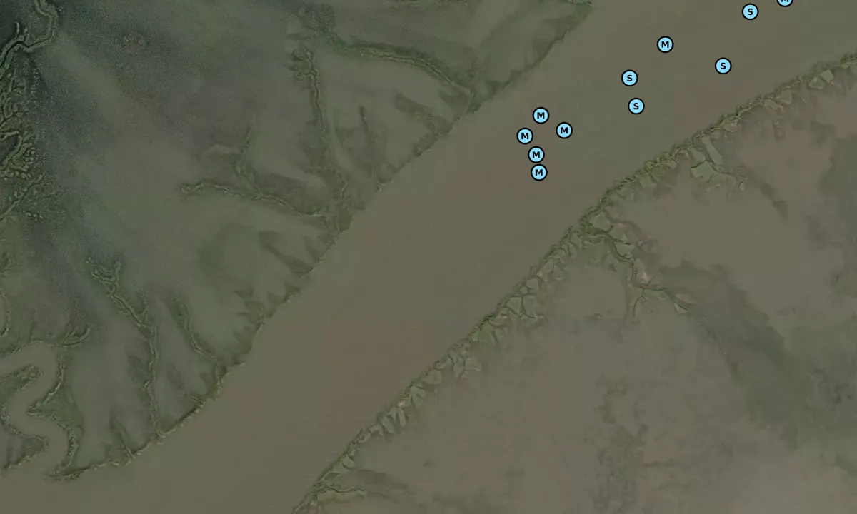 Satelite image of Lincoln Creek