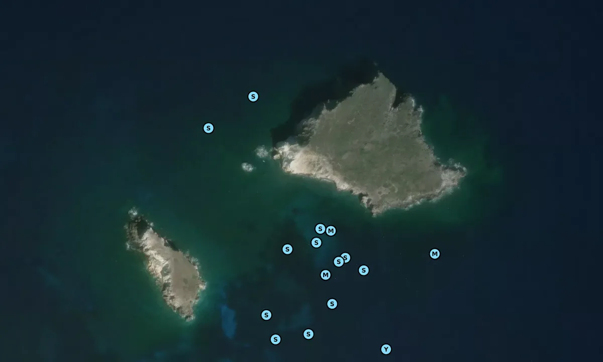 Satelite image of Lisca Bianca