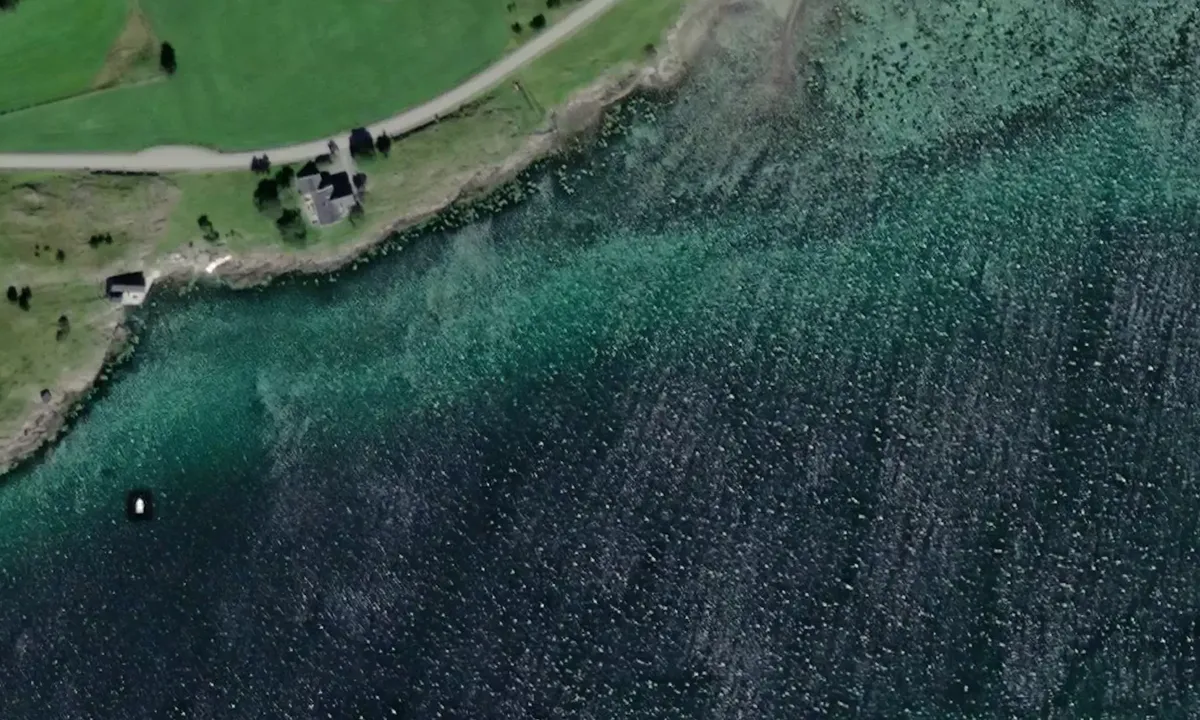 Satelite image of Litlvika