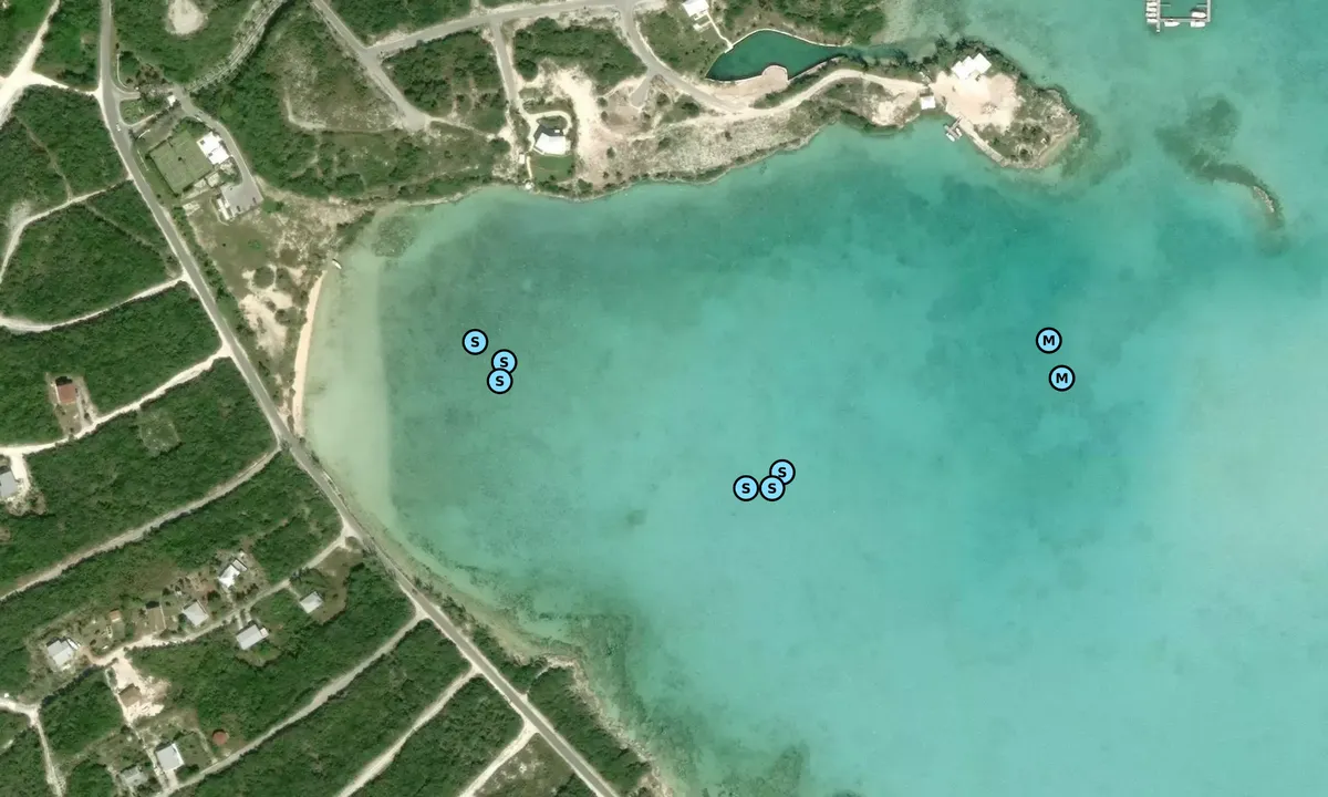 Satelite image of Litterbox
