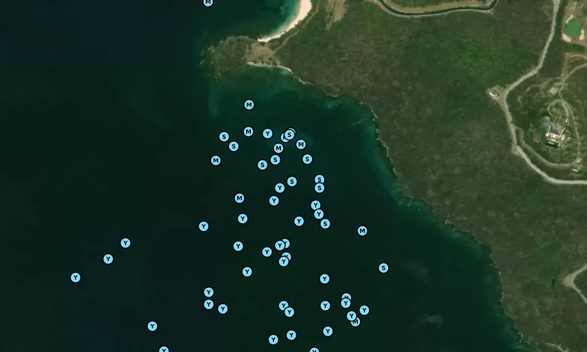 Satelite image of Little Bay - Clifton