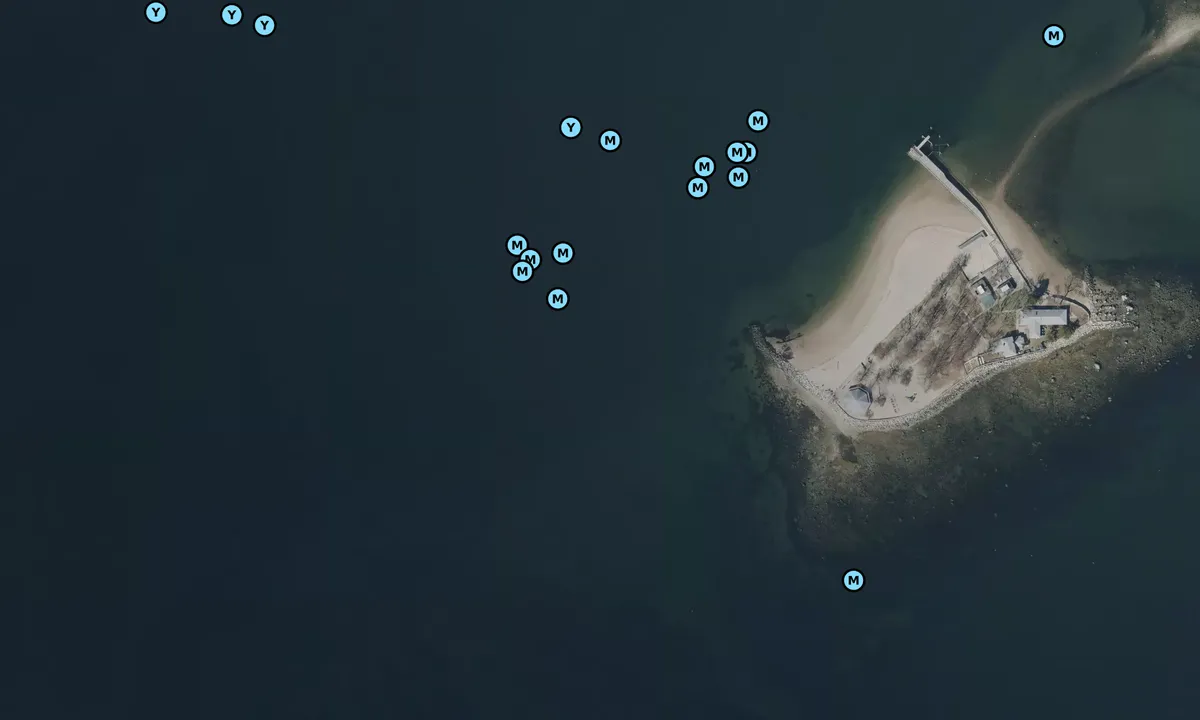 Satelite image of Little Captain Island