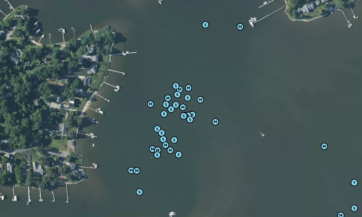 Satelite image of Little Dobbins Island