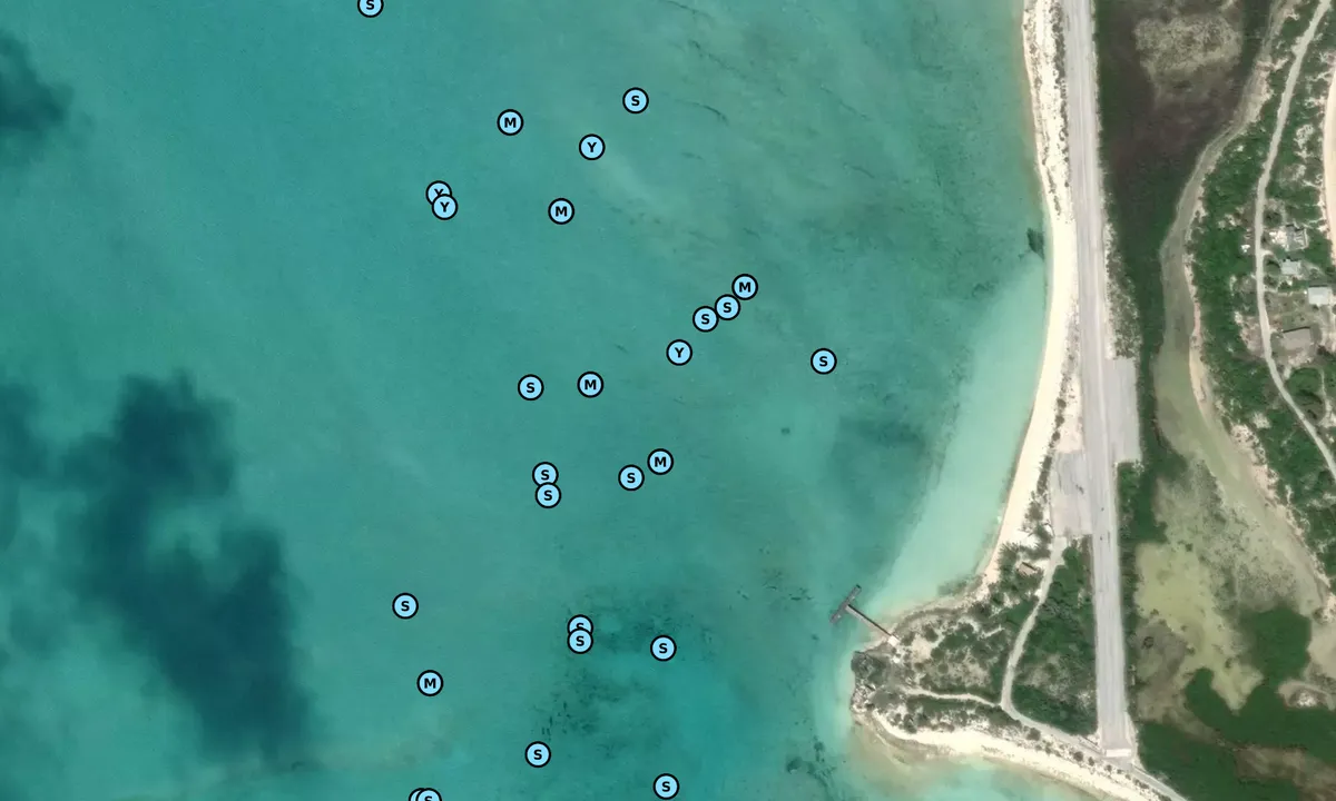 Satelite image of Little Farmers Northwest