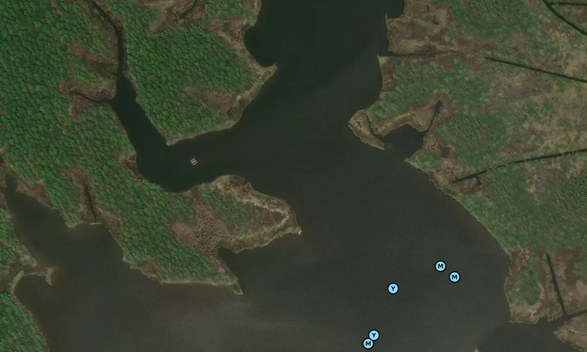 Satelite image of Little Finger