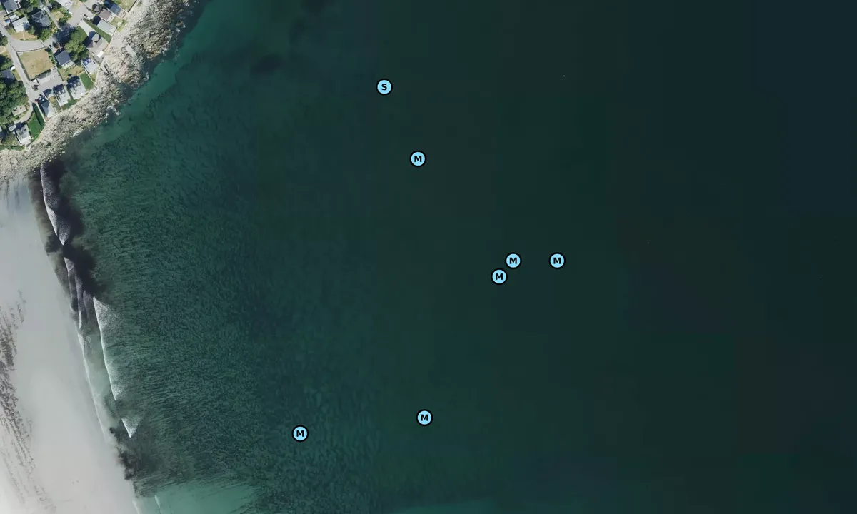 Satelite image of Little Nahant